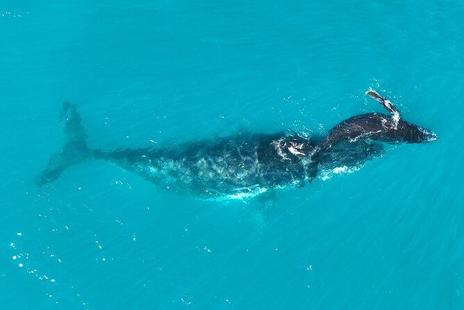 Kimberley Day Cruise Full Day Tour Departing Broome - Who should book this Kimberley day cruise, and who might not