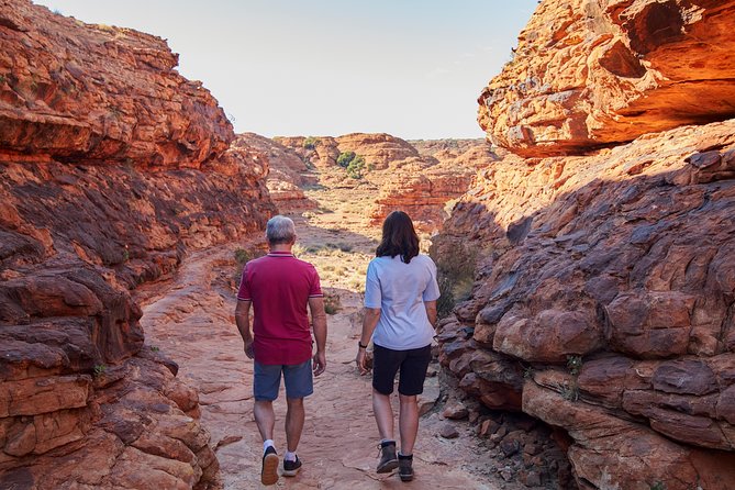 Kings Canyon Day Trip from Ayers Rock (Uluru) - Key highlights at a glance
