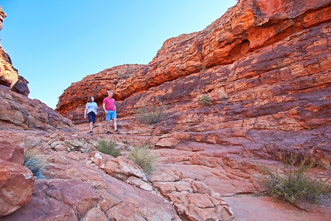 Kings Canyon Day Trip from Ayers Rock (Uluru) - Kings Creek Station breakfast: ranch life in the morning