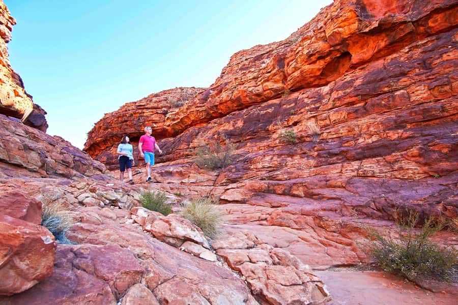 Kings Canyon: Full-Day Tour from Ayers Rock Resort - Key things to know before you go