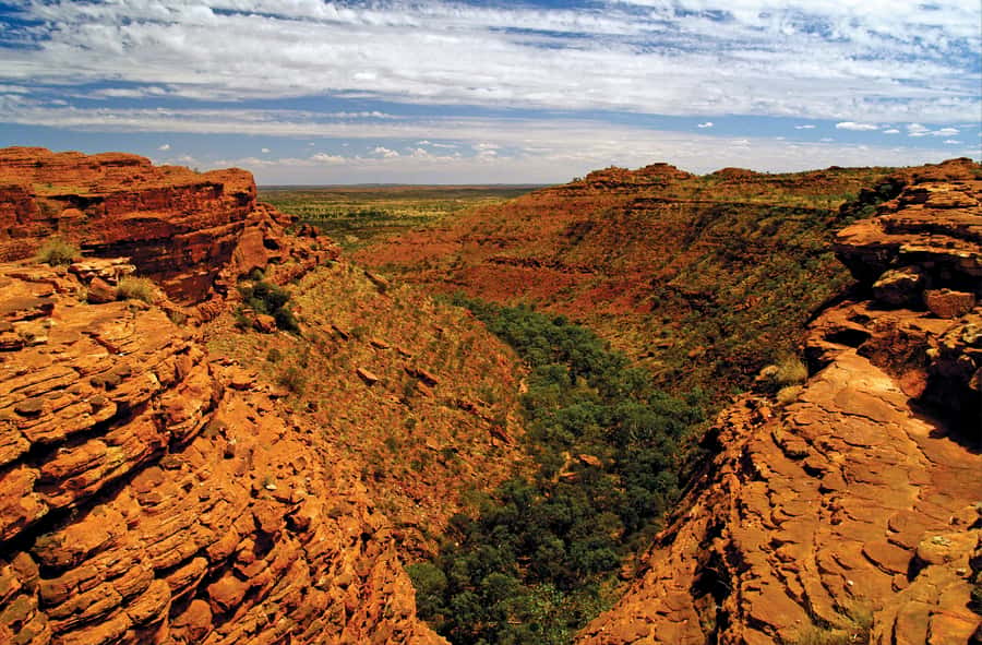 Kings Canyon: Full-Day Tour from Ayers Rock Resort - Pickup logistics and coach comfort from Ayers Rock Resort