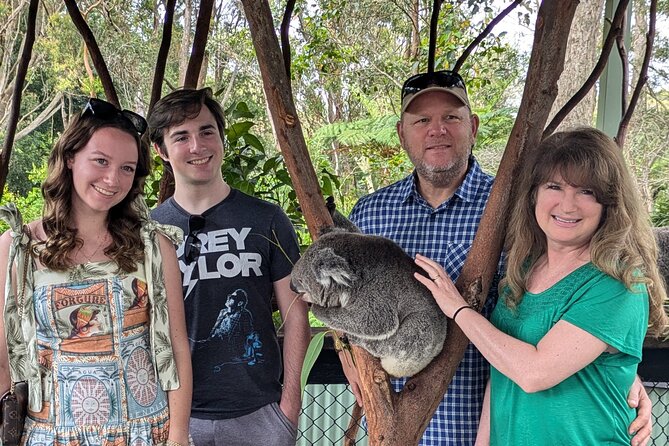 Koala & Kangaroos Experience, Waterfalls and Scenic Train Journey - Key highlights worth your time