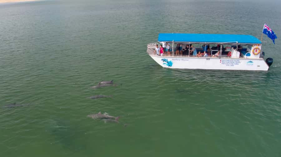 Koombana Bay: Dolphin Eco Cruise - Weather, Sea Conditions, and the Alternative Beach Details