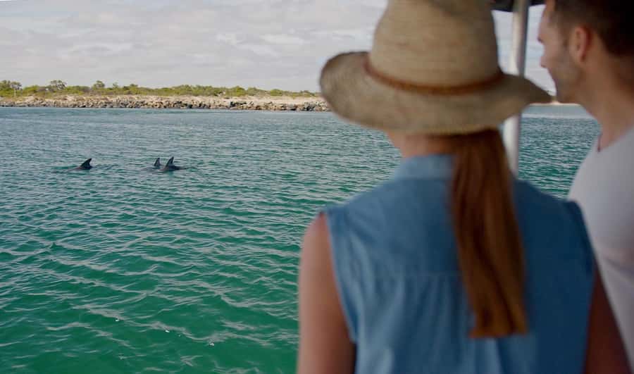 Koombana Bay: Dolphin Eco Cruise - Who This Dolphin Eco Cruise Is Best For