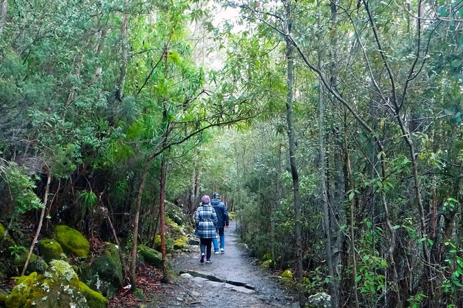 kunanyi/Mt Wellington Explorer Bus - One Way Tour - Key things I’d plan around