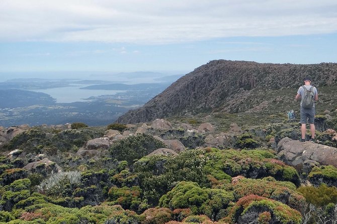 kunanyi/Mt Wellington Explorer Bus - One Way Tour - Kunanyi/Mt Wellington in one move, views without the grind