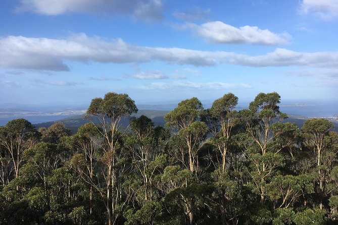 kunanyi/Mt Wellington Explorer Bus - One Way Tour - What is included and what you should plan for