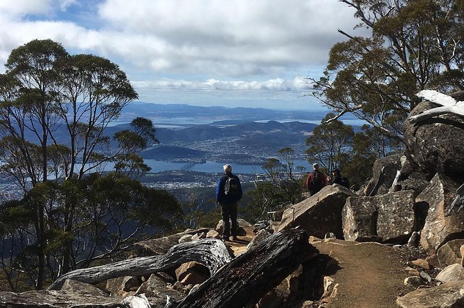 kunanyi/Mt Wellington Explorer Bus - One Way Tour - Who this suits best, and who should rethink it