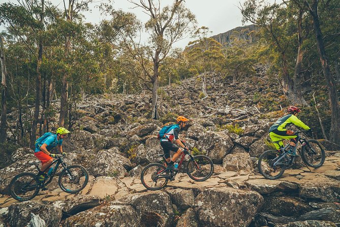 kunanyi/Mt Wellington Explorer Bus - One Way Tour - What you do at the top: lookouts, signage, and a quick photo window