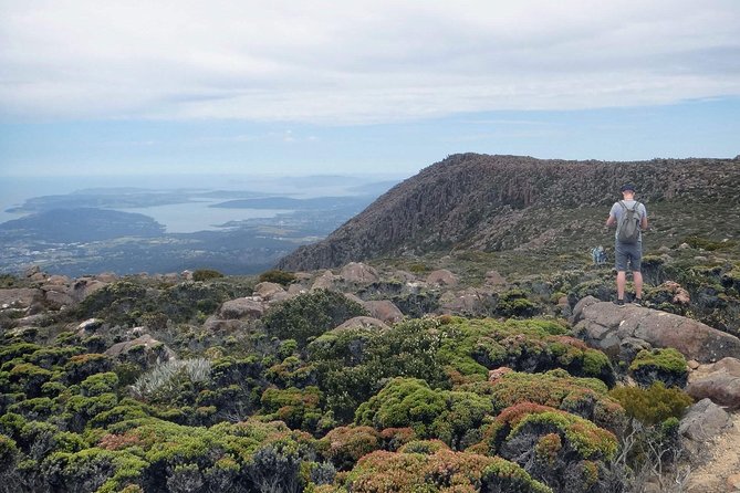 kunanyi/Mt Wellington Explorer Bus- Return Tour (2.5 hours) - The all-day Explorer Pass: what you can actually plan around