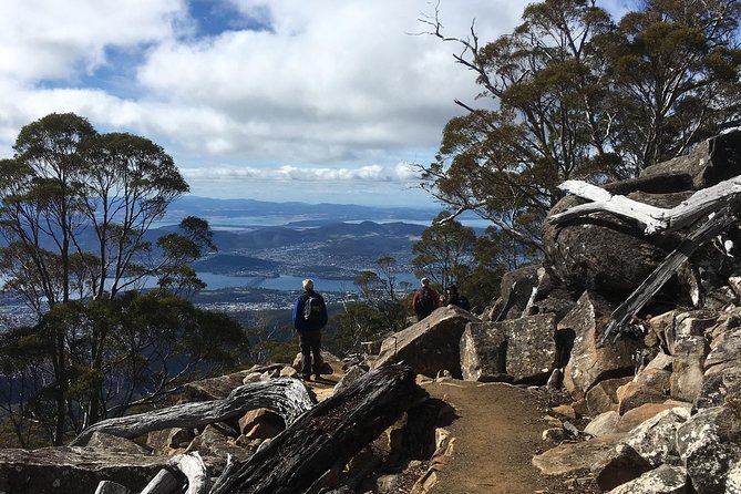 kunanyi/Mt Wellington Explorer Bus- Return Tour (2.5 hours) - Fern Tree Park: the family-friendly breather stop