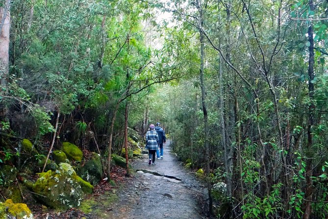 kunanyi/Mt Wellington Tour & Hobart Hop-On Hop-Off Bus - Price and value: how $60.97 stacks up when you add up what’s included