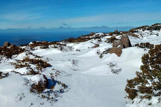 kunanyi/Mt Wellington Ultimate Experience Tour from Hobart - Weather reality check for Mt Wellington