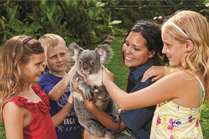 Kuranda Koala Gardens General Entry Ticket - The Koala Experience Reality: Close Viewing vs. Extra Photo or Holding