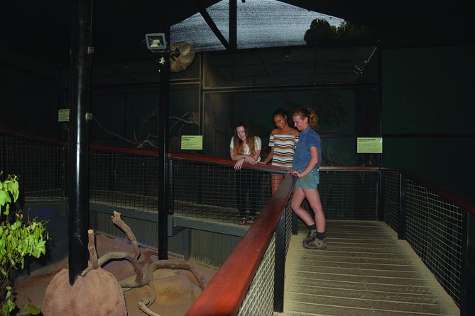 Kuranda Koala Gardens General Entry Ticket - Nocturnal Wonders in the Tablelands: Greater Bilby, Northern Bettong, and Mahogany Glider