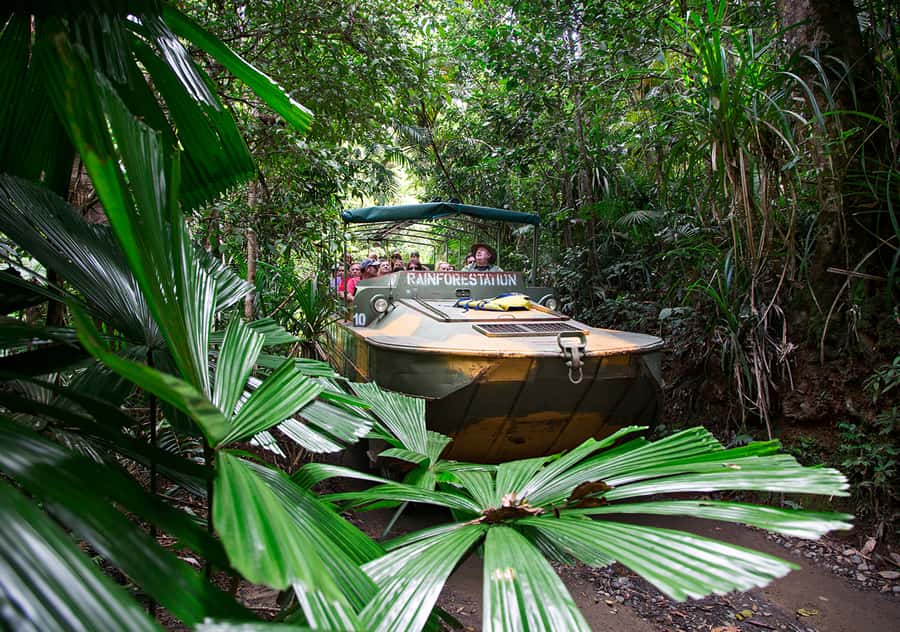 Kuranda: Rainforestation Nature Park - Finding Rainforestation in Kuranda (and why self-drive helps)