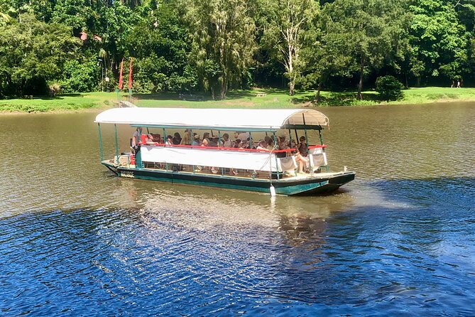 Kuranda Riverboat Sightseeing Cruise - From Kuranda Station Area to the Jetty: Getting There Without Stress