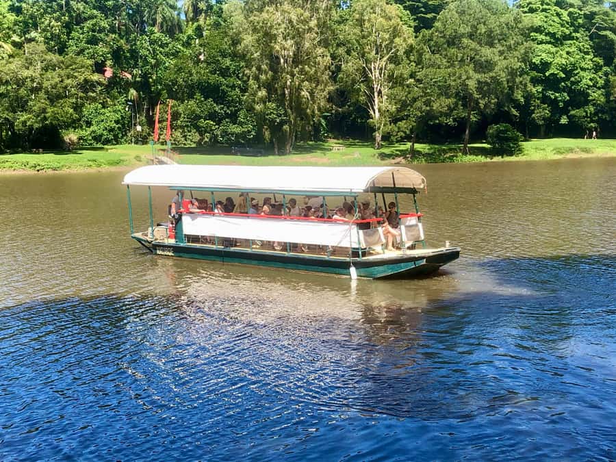 Kuranda: Riverboat Tour - Key things to know before you go