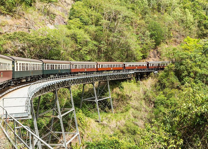 Kuranda Scenic Railway Day Trip from Cairns - Butterfly Sanctuary: One Add-On That Feels Like Real Tropical Science