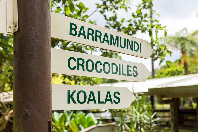 Kuranda Scenic Railway Day Trip from Cairns - Koala Gardens and the Animal Time Budget