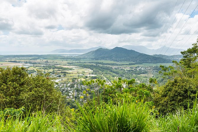 Kuranda Scenic Railway Day Trip from Cairns - Getting From Cairns: Transfers, Timing, and Where You’ll Actually Be