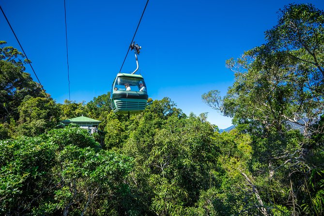 Kuranda Scenic Railway Day Trip from Palm Cove - Kuranda Scenic Railway: the rainforest rail ride with Barron Falls moments