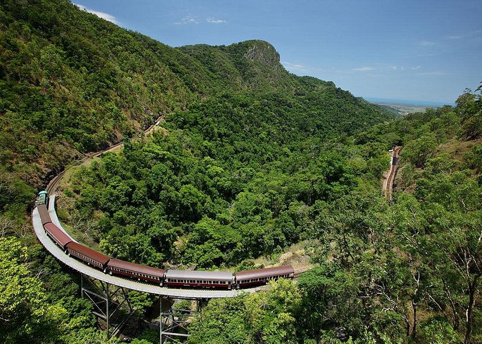 Kuranda Scenic Railway Day Trip from Palm Cove - Wildlife stops near the markets: butterflies, koalas, and birds
