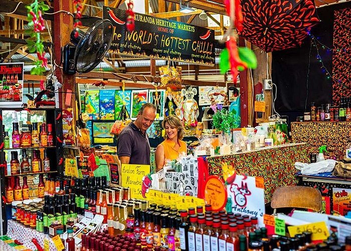 Kuranda Scenic Railway Day Trip from Port Douglas - Timing, comfort, and weather scenarios you should plan for