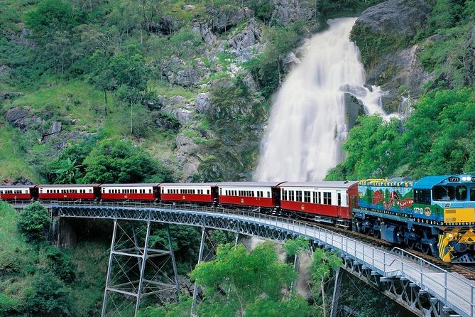 Kuranda Scenic Railway & Skyrail Tour from Port Douglas - Palm Cove beach stop: a 40-minute reset on the coast
