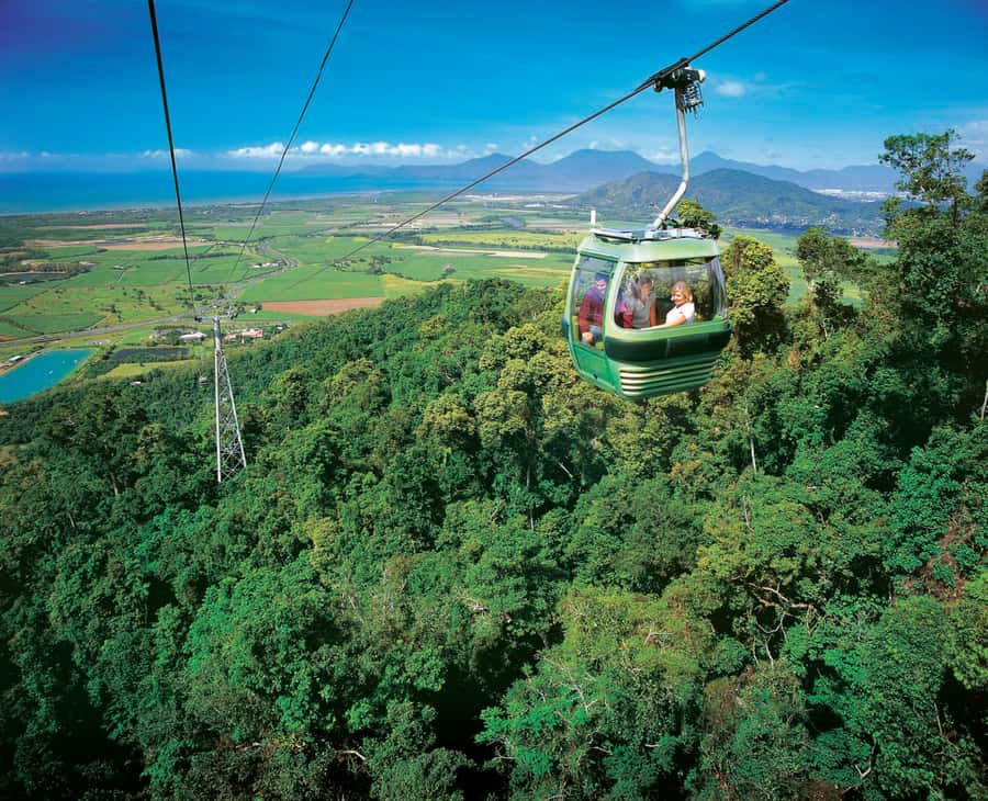 Kuranda, Skyrail & Gold Class Train from Cairns - Skyrail Rainforest Cableway: two stops that turn views into a plan