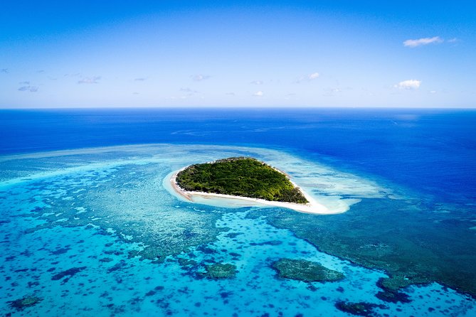 Lady Musgrave Day Trip from Bundaberg Including Snorkeling - Key highlights you’ll actually care about
