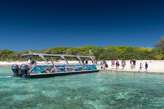 Lady Musgrave Day Trip from Bundaberg Including Snorkeling - Lady Musgrave Experience from Bundaberg, and what $240+ gets you
