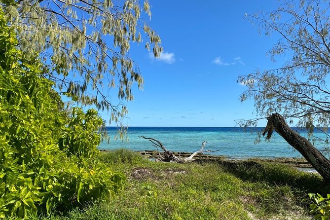 Lady Musgrave Day Trip from Bundaberg Including Snorkeling - Guided island walk: what’s on land, and why it matters