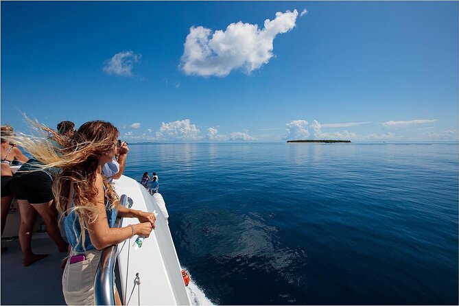 Lady Musgrave Day Trip from Bundaberg Including Snorkeling - Food onboard: morning tea, buffet lunch, afternoon tea, and what’s not included