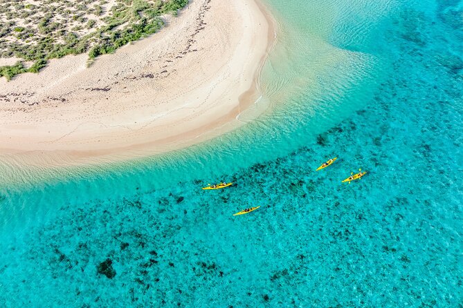 Lagoon Explorer - Ningaloo Reef Full-Day Kayaking and Snorkeling Adventure - Why Ningaloo Kayak and Snorkel Feels Different From Usual Reef Tours