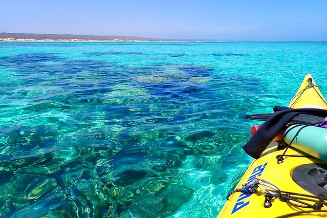 Lagoon Explorer - Ningaloo Reef Full-Day Kayaking and Snorkeling Adventure - Gear, Safety, and Small-Group Comfort on the Water