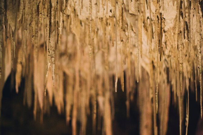 Lake Cave Fully Guided Tour - Guides keep it fun, not rushed