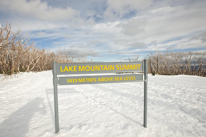 Lake Mountain Snow Trip including Yarra Valley Chocolaterie from Melbourne - Healesville lunch break: Beechworth Bakery option, plus flexibility