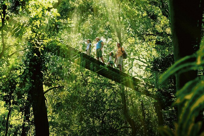 Lamington National Park, O'Reilly's & Vineyard Tour - Canungra break and Lamington National Park canopy time