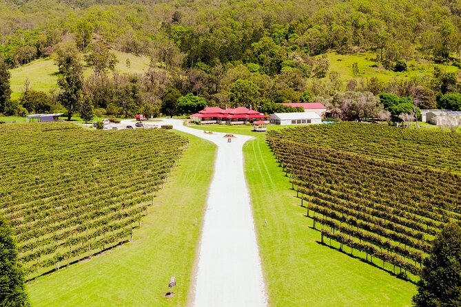 Lamington National Park, O'Reilly's & Vineyard Tour - What to bring, and who this tour fits best