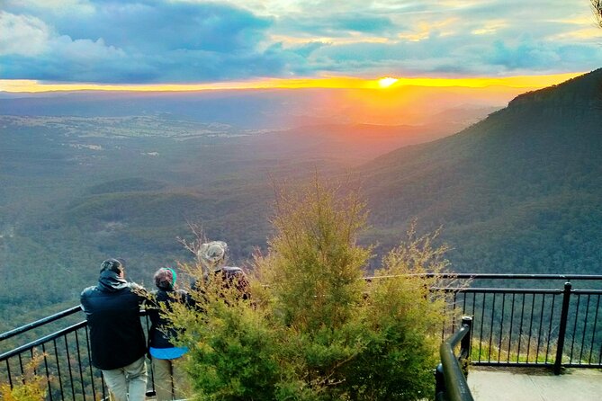 Late Start Blue Mountains Nature, Waterfalls, Koalas Small Group - Calmsley Hill City Farm: feeding kangaroos and the koala photo moment