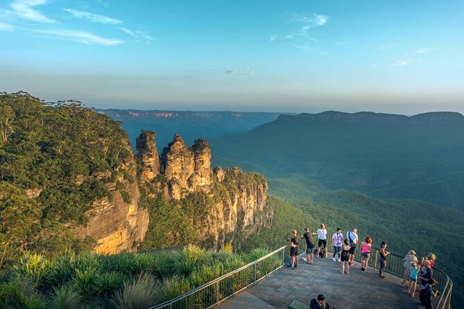 Late Start Blue Mountains Nature, Waterfalls, Koalas Small Group - Megalong Valley: quick kangaroo spotting in the late day light