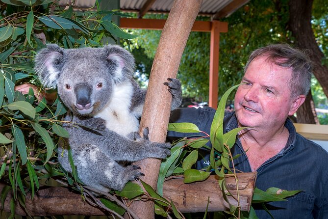 Late Start Blue Mountains Nature, Waterfalls, Koalas Small Group - Katoomba dinner: a main-course reset after walking and viewpoints