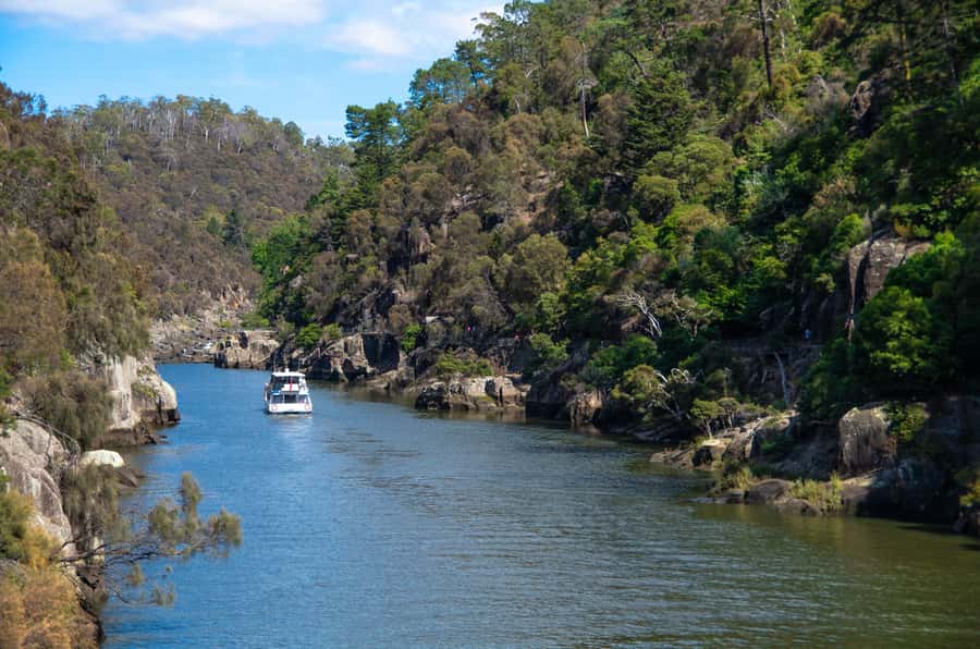 Launceston: 4-Hour Batman Bridge Luncheon Cruise - Protected inlets and the bird spotting game