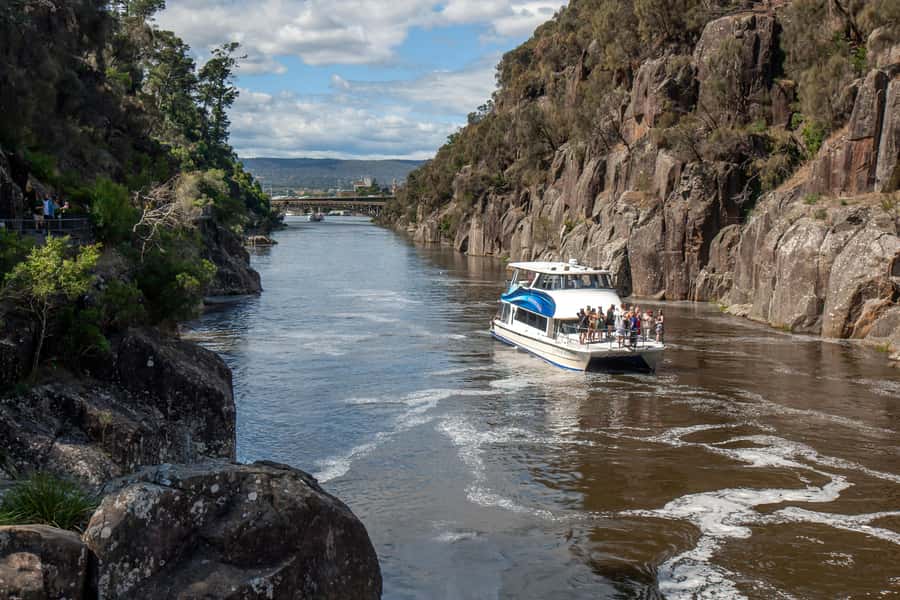 Launceston: 4-Hour Batman Bridge Luncheon Cruise - Comfort, room, and where to sit for the best views