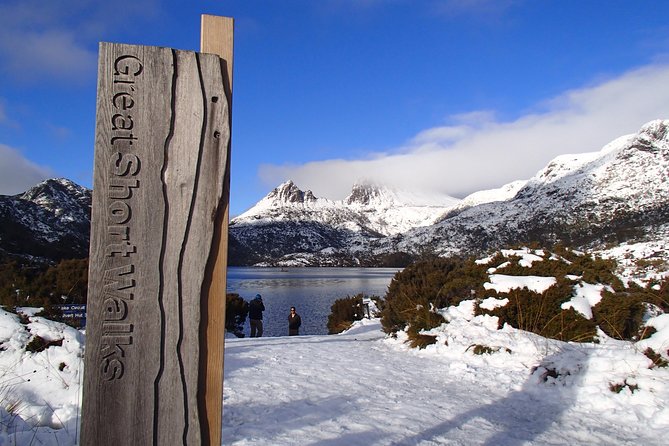 Launceston: Cradle Mountain Adventure - Active Day Tour - Weindorfers Forest Walk and the quiet wombat pause