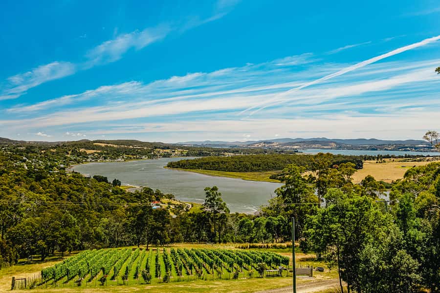 Launceston: Tamar Valley Wine Tour with Lunch - First Sip and Hotel Comfort: What the Transport Really Means