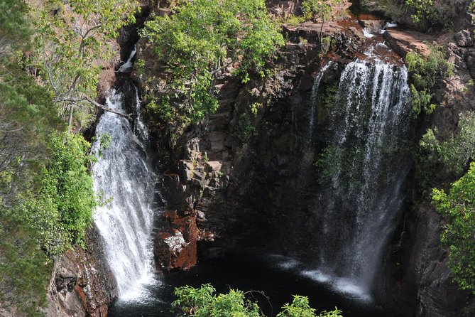 Litchfield and Jumping Crocodiles Full Day Trip from Darwin - Key highlights worth planning for