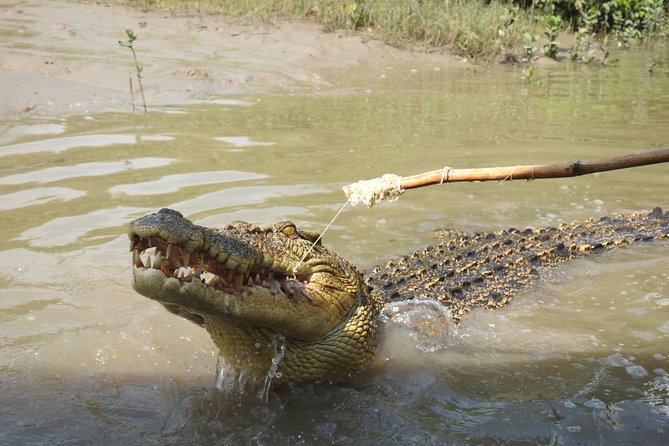 Litchfield and Jumping Crocodiles Full Day Trip from Darwin - Price and value: what $190.07 includes, and what costs extra