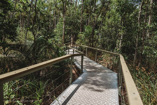 Litchfield Day Tour from Darwin with Offroad Dreaming - Wangi Falls in the wet season: great if it is on, frustrating if it is not